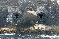 Batterie d'artillerie casematée de 32 cm des Capucins, Îlot des Capucins (Roscanvel)