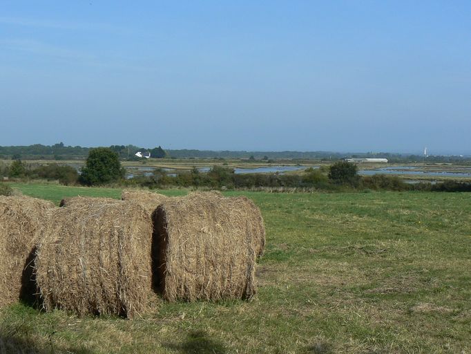Espace salicole oriental de Séné