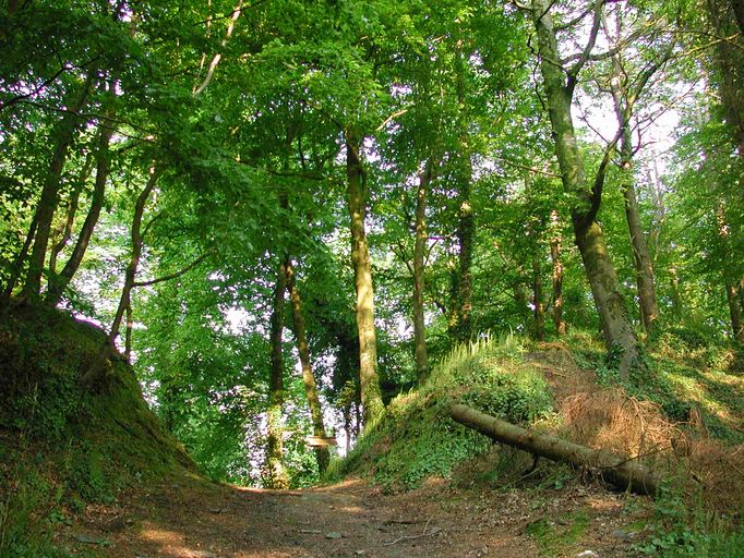 Ouvrage fortifié (éperon barré), Castel-an-Trébez, Forêt de Lannigou (Taulé)