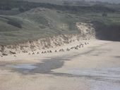 Ensemble fortifié de la plage de la Palue (Crozon)