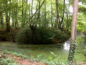 Motte des Guerches (Matignon)