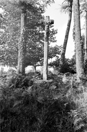 Croix monumentale, près de Roc'h Vreign (Maël-Pestivien)