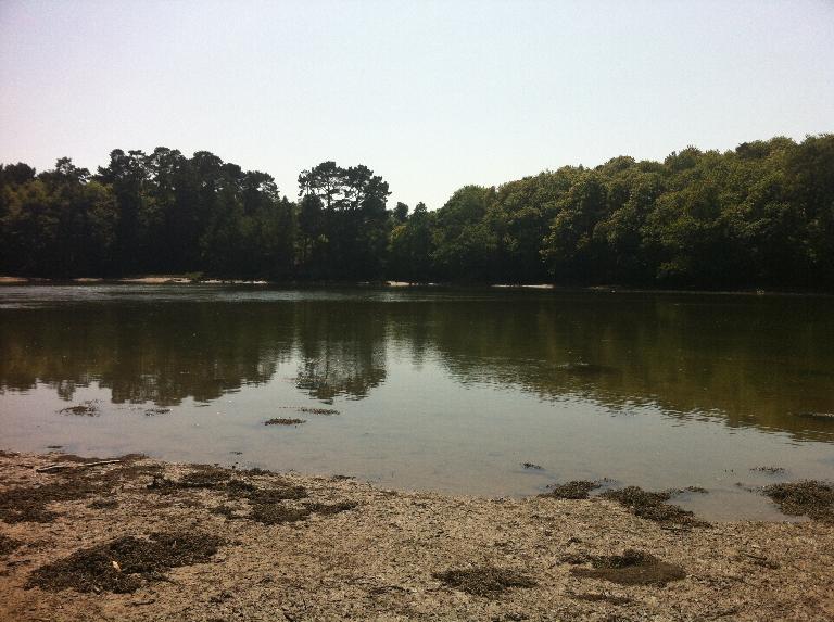 Château de Toulven (Quimper)