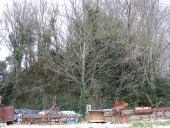 Motte féodale, le Chatenay (Orgères)