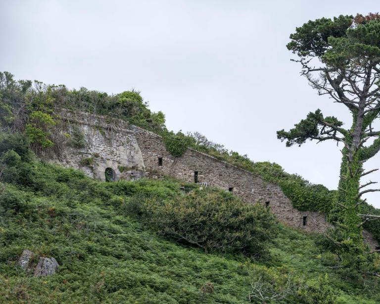 Vue de la partie haute du fort du Mengant depuis la mer : branche tombante (état en 2025)