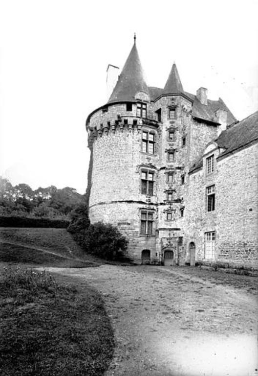 Château fort, château de Brignac (Saint-Guyomard)