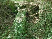 Bunker, Pointe de Penn al Lann (Carantec)