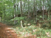 Mottes, la Motte aux Anglais (Dingé)