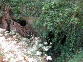 Bunker - abri, Pointe de Penn al Lann (Carantec)