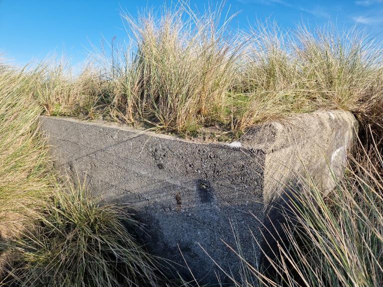 Bunker-magasin de munition, pointe d’Enez-Vihan, Dunes de Keremma (Tréflez)