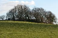Motte féodale de Kerroué (Plufur)