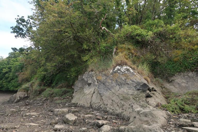 Château de Frynaudour (Quemper-Guézennec)