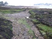 Chaussée sur l'Estran (Crozon)