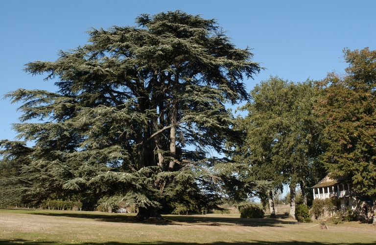 Château de Bransahier (Talensac)