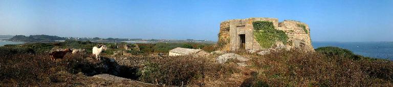 Fort Cézon (A 36), Île Cézon (Landéda)