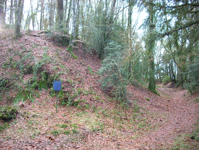 (NE PAS PUBLIER) Les architectures du Moyen Âge dans le territoire du Schéma de cohérence territoriale du Trégor