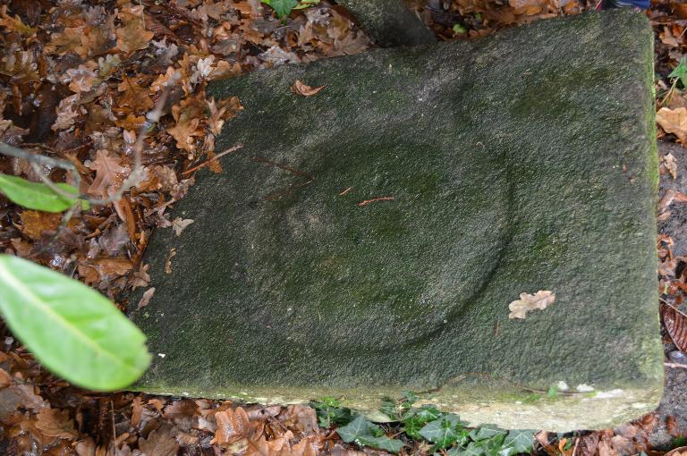 Château de Saint-Gilles, dit le Grand Domaine (Saint-Gilles)