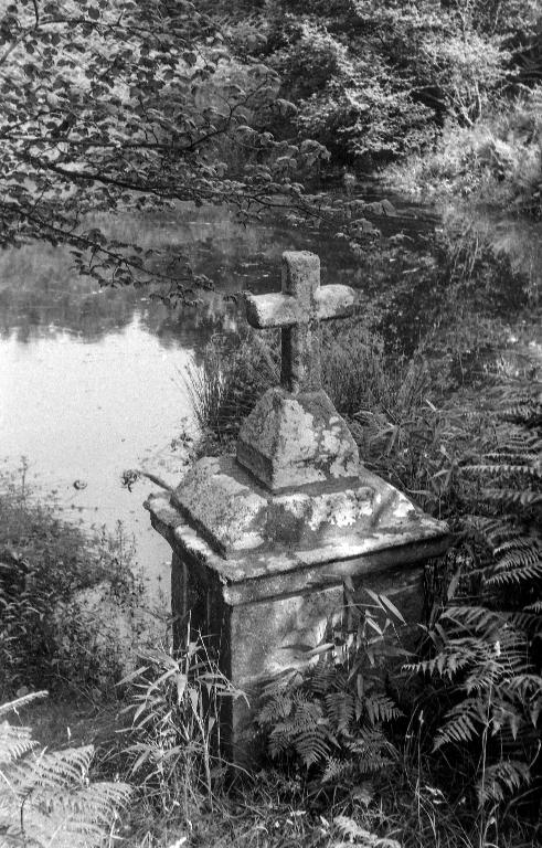 Fontaine de dévotion Sainte-Brigitte, Moulin du Châtel (Plounévez-Lochrist)