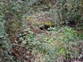 Fontaine du Roselier, le Port-Martin (Plérin-sur-Mer)