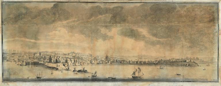 Fort du Naye (dossier en cours), Le Naye (Saint-Malo)