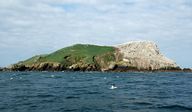 Réserve naturelle des Sept-Îles (Perros-Guirec)