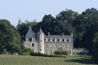 Château (Saint-Aubin-d'Aubigné)