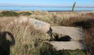 Bunker-abri de type VF 2c pour 12 hommes, pointe d’Enez-Vihan, Dunes de Keremma (Tréflez)