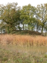 Motte féodale, la Vieille Motte (Chelun)