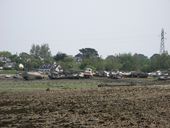 Cimetière de bateaux de Rostellec (Crozon)
