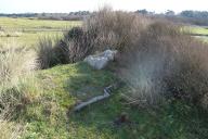 Bunker-abri pour une citerne à eau, pointe d’Enez-Vihan, Dunes de Keremma (Tréflez)