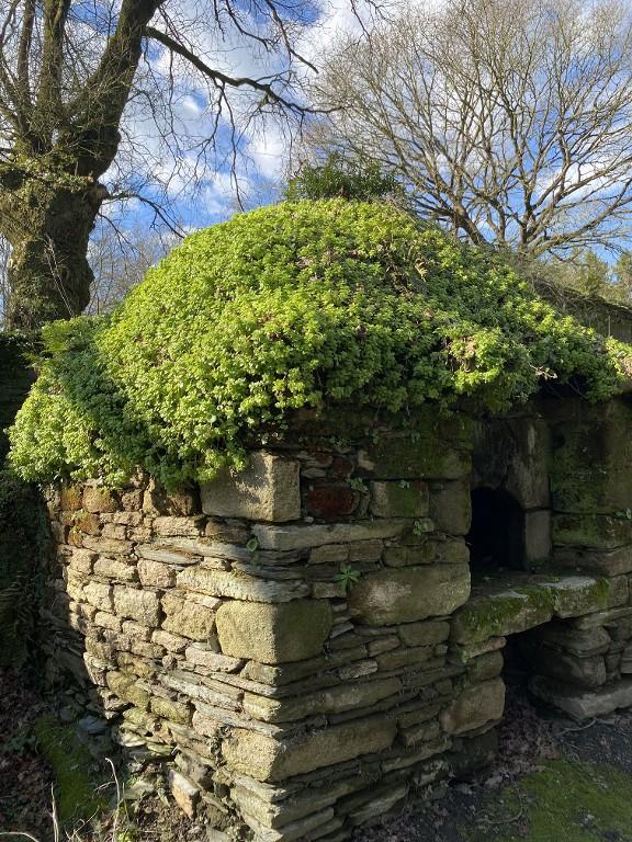 Manoir, la Gaudinais (Ploërmel)