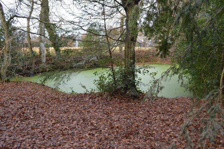 Château de Saint-Gilles, dit le Grand Domaine (Saint-Gilles)