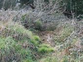 Bunker - abri de type VF 2a pour un groupe, Allée du Cosmeur, Pointe de Penn al Lann (Carantec)