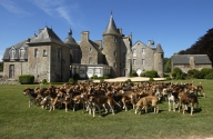 Château de la Bourbansais (Pleugueneuc)