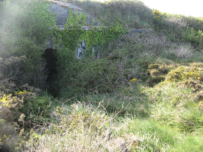 Ensemble fortifié de la pointe de Tremet (Roscanvel)