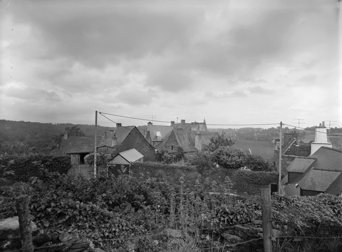 Château fort (Rochefort-en-Terre)