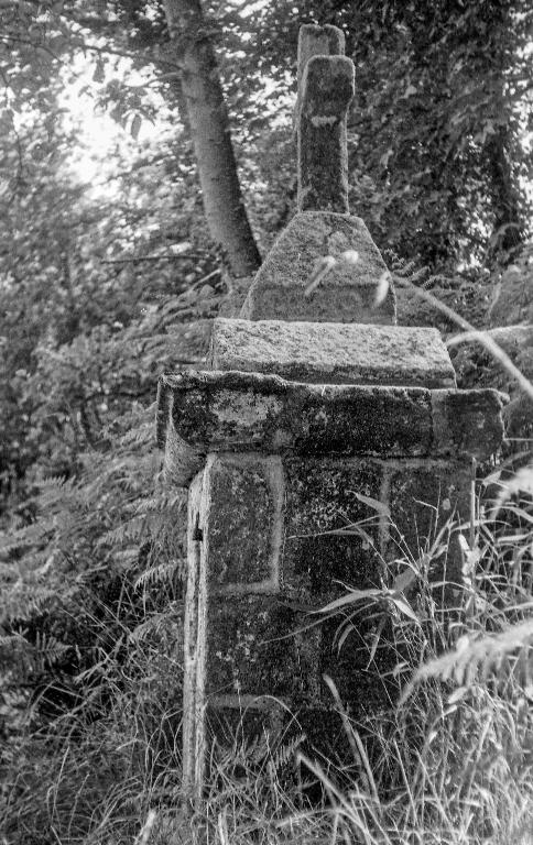 Fontaine de dévotion Sainte-Brigitte, Moulin du Châtel (Plounévez-Lochrist)