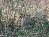 Ensemble de trois niches à munition, La Palud, Saint-Julien (Taulé)