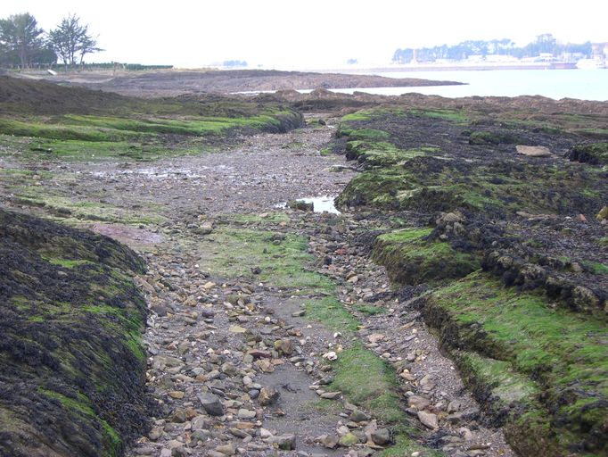 Chaussée sur l'Estran (Crozon)