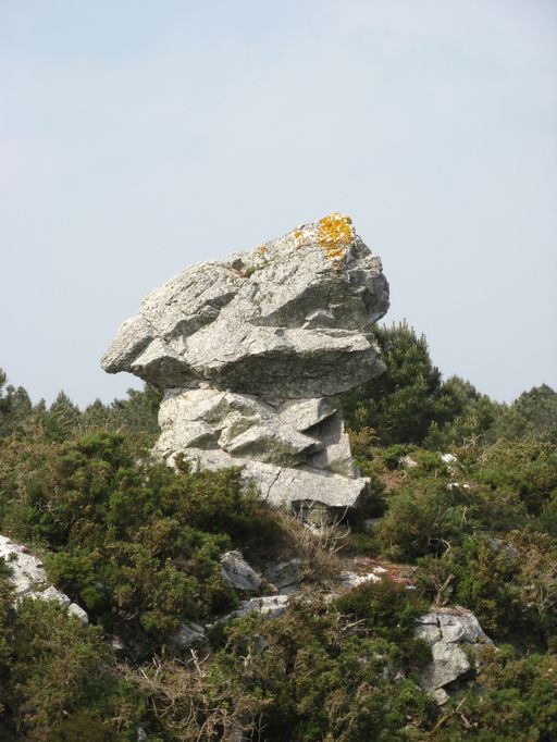 Amer naturel de Sevellec Coz, Cap de la Chèvre (Crozon)