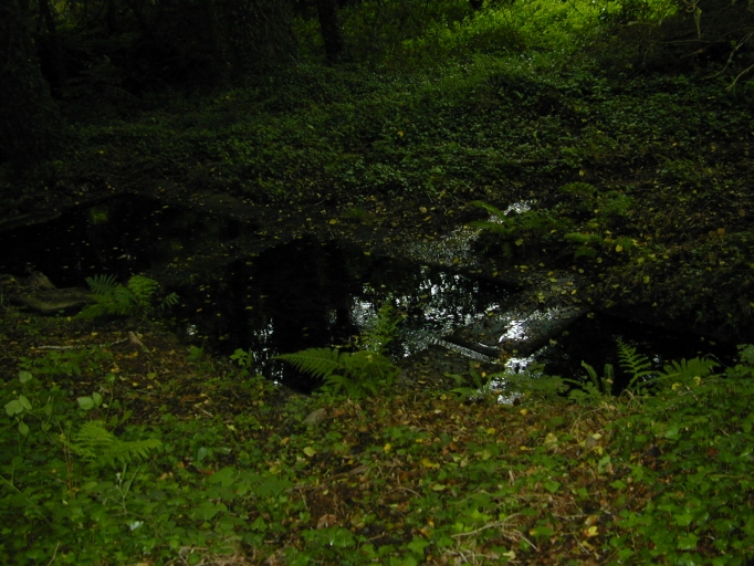 Demeure de notable puis ferme, Kervégant (Arzano)