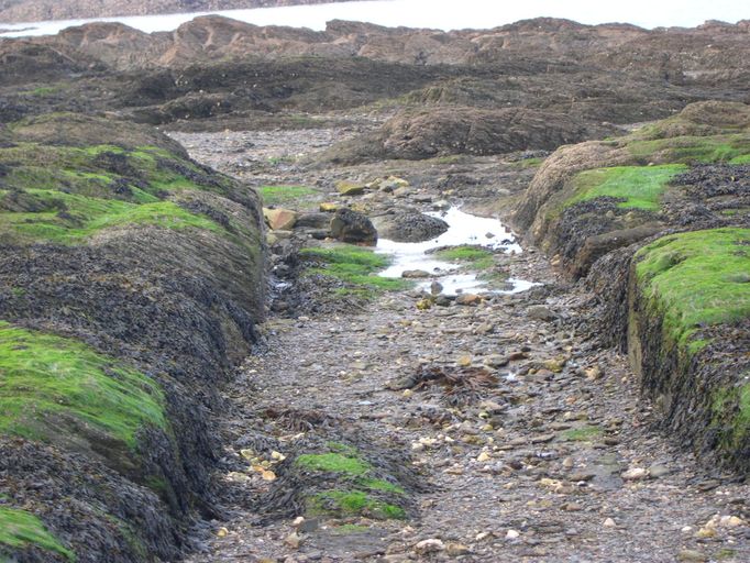 Chaussée sur l'Estran (Crozon)