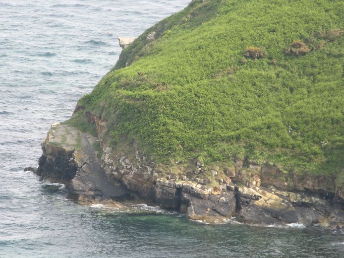 Cale Saint-Nicolas, Cap de la Chèvre (Crozon)
