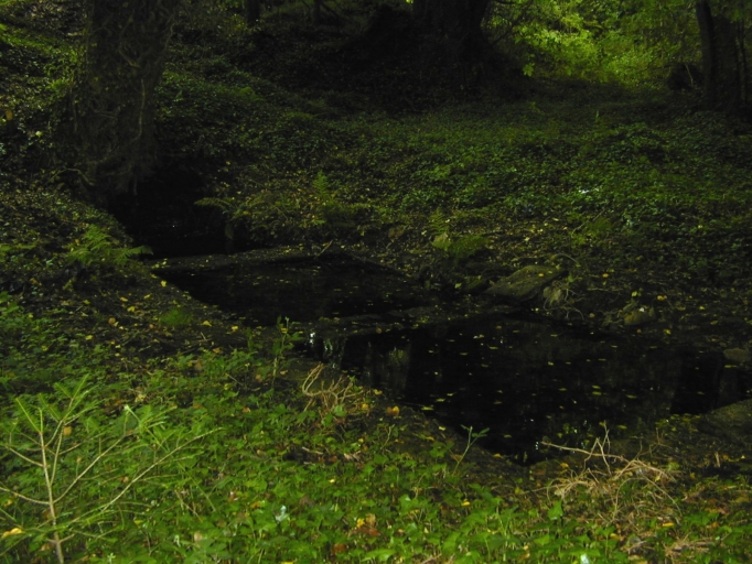 Demeure de notable puis ferme, Kervégant (Arzano)