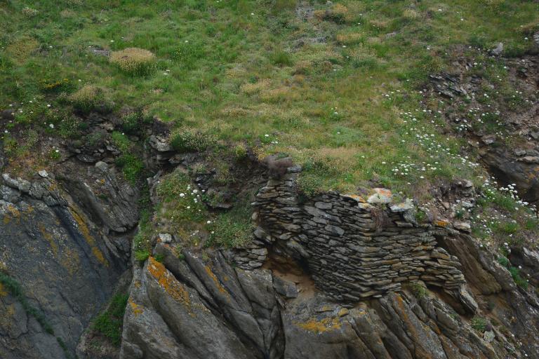 Davier à goémon de la pointe Saint-Mathieu (Plougonvelin)