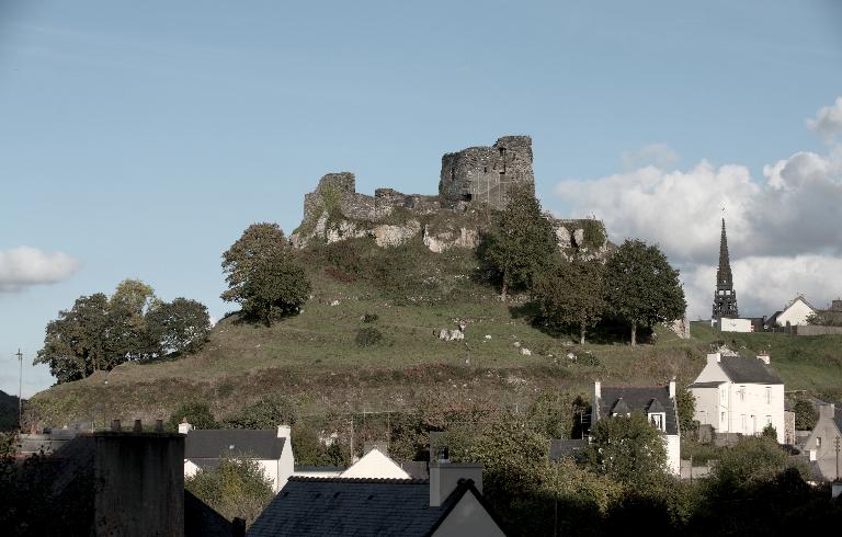 Château de Roc'h Morvan (La Roche-Maurice)