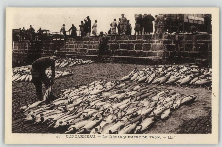 Môle Pénéroff (Concarneau)