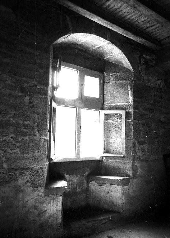 Manoir dit aussi ferme du gros chêne, la Villeneuve ; Coet Er fau (Pontivy)