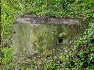 Bunker - casemate de flanquement, postes d'observation et de tir, versant Nord vers le Gouët, Domaine de la Tour de Cesson, rue de la Tour (Saint-Brieuc)