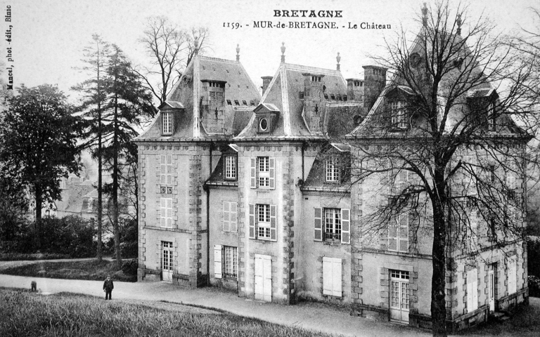 Château dit château Le Cerf (Mûr-de-Bretagne fusionnée en Guerlédan en 2017)